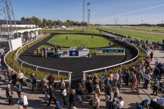 Ledvolt Bro Park Galopp