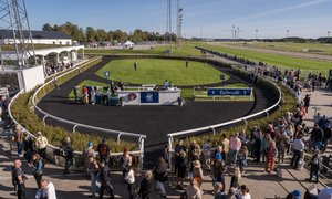 Ledvolt Bro Park Galopp