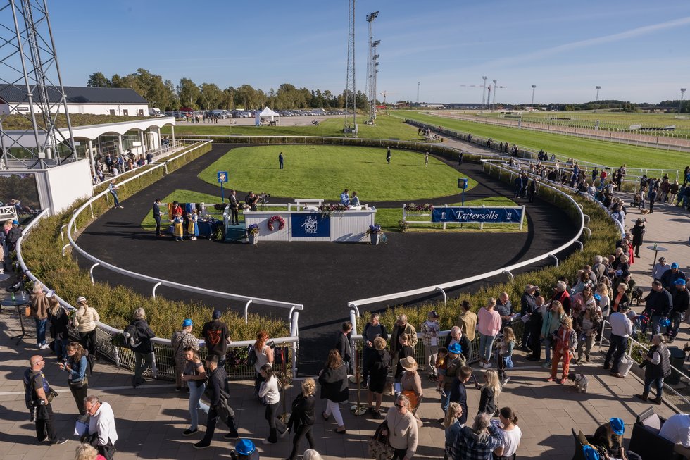 Ledvolt Bro Park Galopp