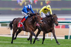 0C6A1579 Hukum och Jim Crowley vinner Dubai City Of Gold .jpg