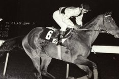 Bruno Nilsson 1.420550 original.jpg