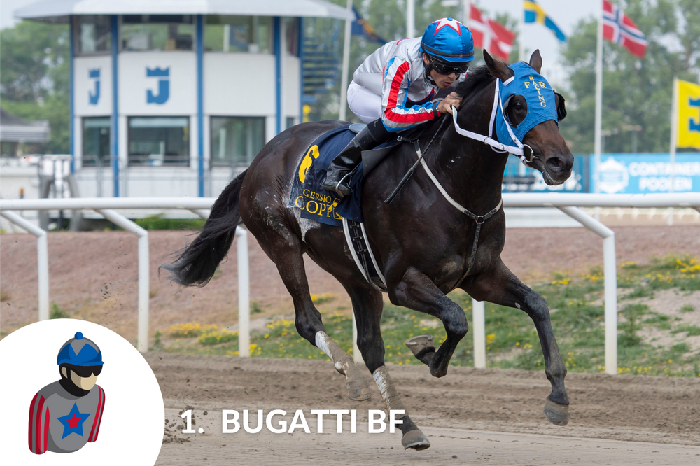 Starthästar_Derbyt_2023_1