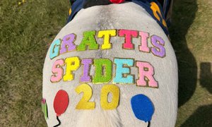 1000034864