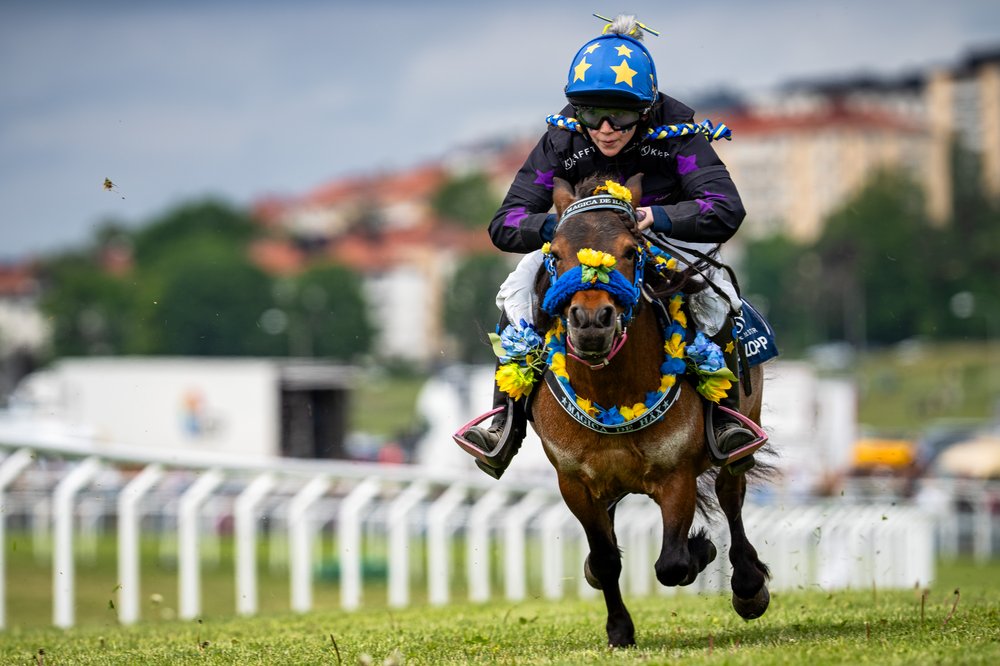 20250606-_BLO2040-Redigera