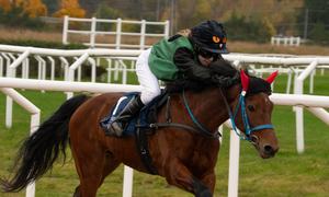 20261025_1_Ponnygalopp Bro Park