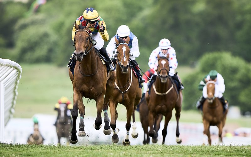 220606MOF-BLO00397 (1)