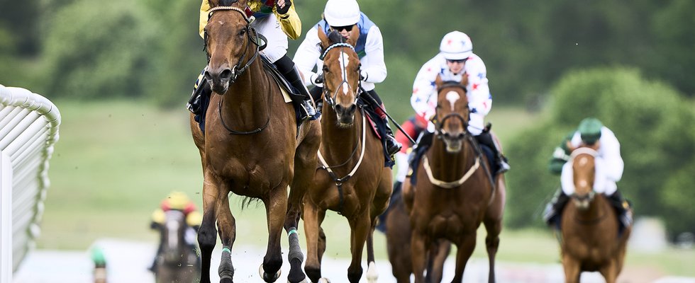 220606MOF-BLO00397 (1)