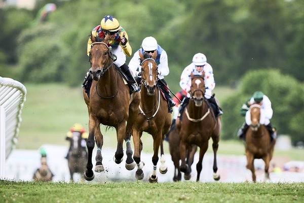 220606MOF-BLO00397 (1)