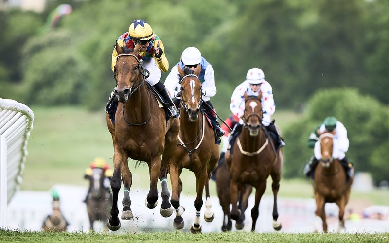 220606MOF-BLO00397 (1)