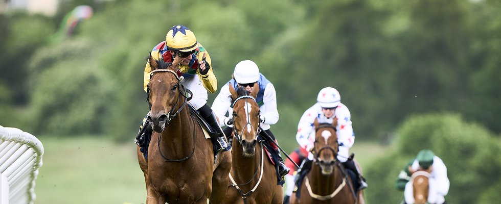 220606MOF-BLO00397 (1)