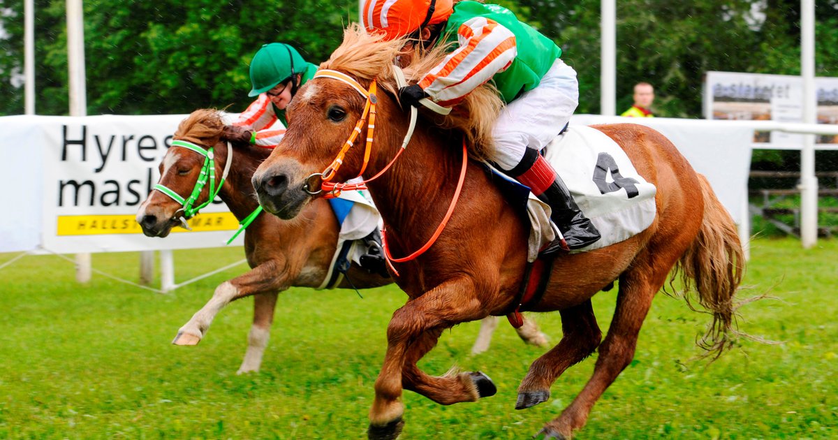 Äntligen rider Alina på Gärdet! - Svensk Galopp