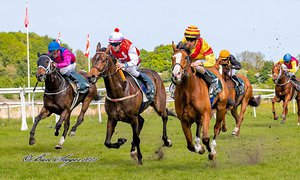 4fBAwRaI Bud och Jacob Johansen spurtar ner motståndet i Dansk 2000 Guineas