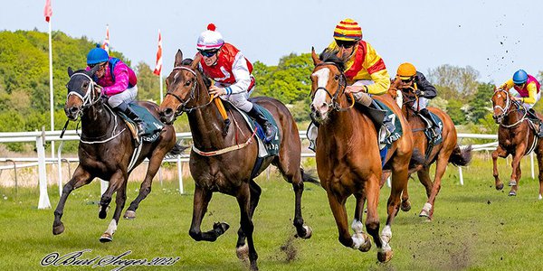 4fBAwRaI Bud och Jacob Johansen spurtar ner motståndet i Dansk 2000 Guineas