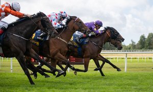 Göteborgs Stora Pris - Empress Bling