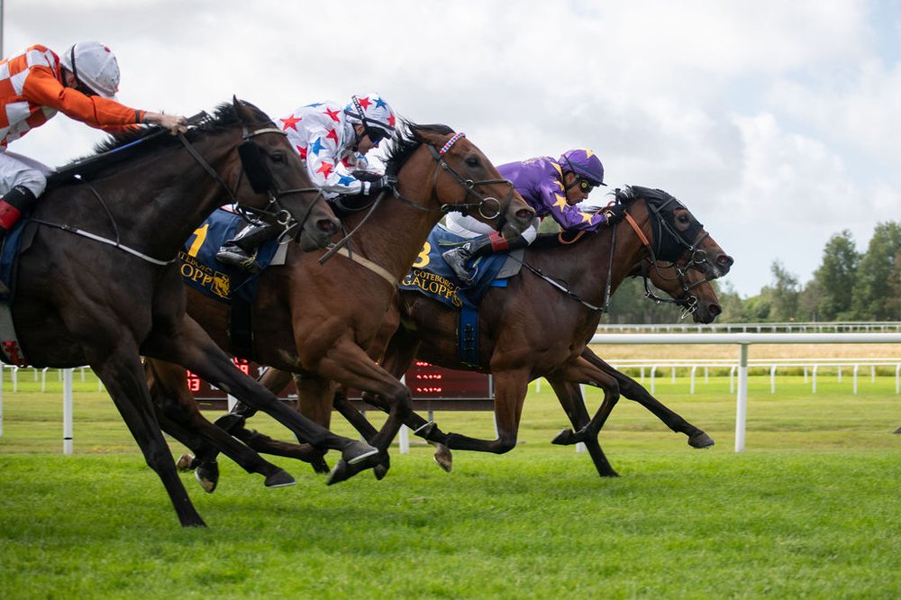 Göteborgs Stora Pris - Empress Bling