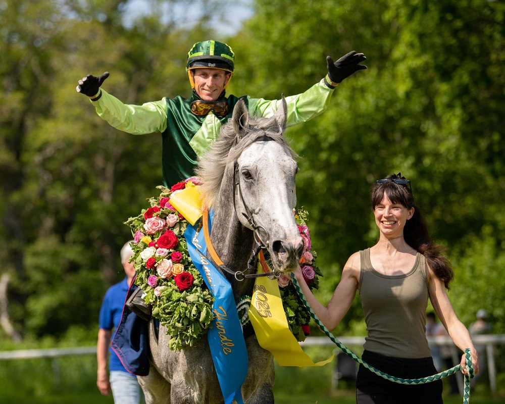 Monsieur Vic - Champion Hurdle