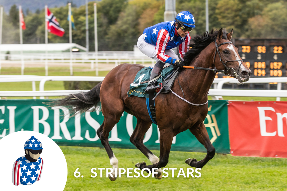 Starthästar_Derbyt_2023_6