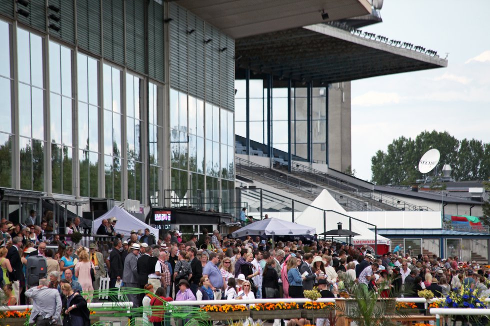 8-156 på Jägersro.JPG