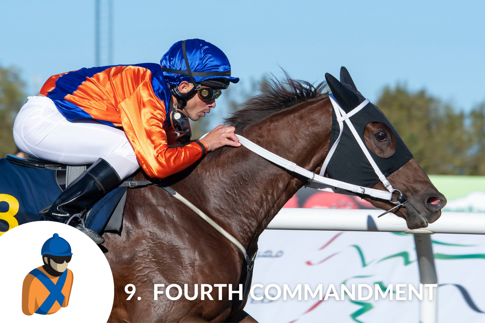 Starthästar_Derbyt_2023_9