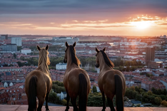 lordagsupplevelse v85