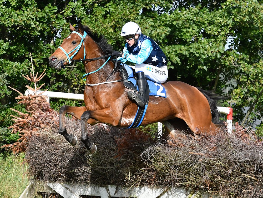 Accelerate HM Konungens Pris