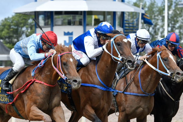 Amon Ra m fl HERO.png