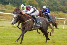 Annons-Go Get Happy 2