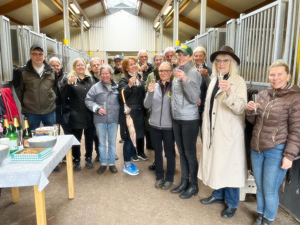 Annons Racehorses and bubbles 2