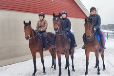 Annonsbild Alice Elmerskog IMG-20231209-WA0016