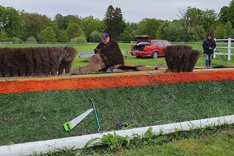 Arbetsdag på Strömsholm.jpeg