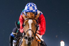 Ascot Brass-2511 Cape Verdi 20230203 kopia