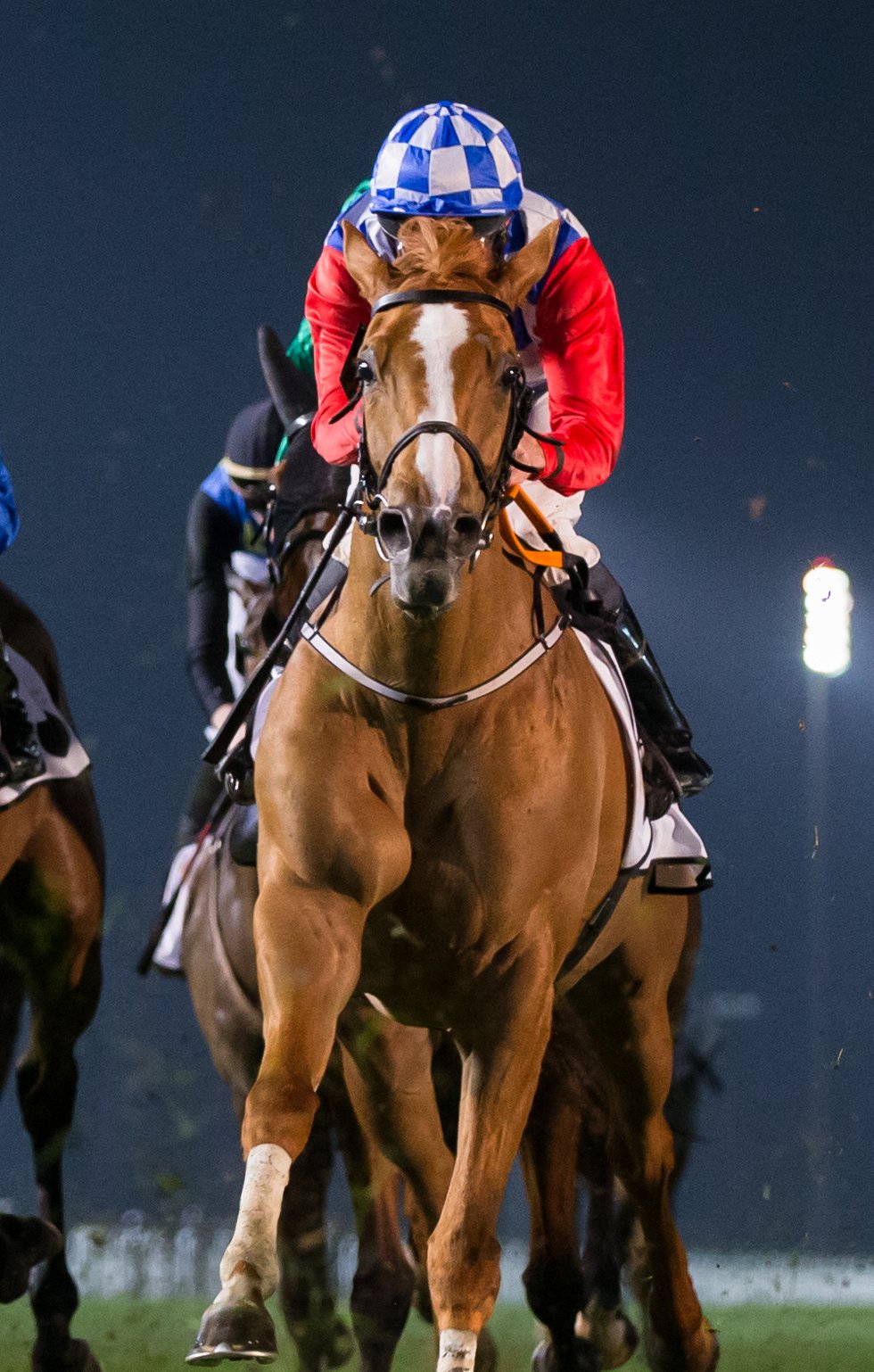 Ascot Brass-2511 Cape Verdi 20230203 (3)