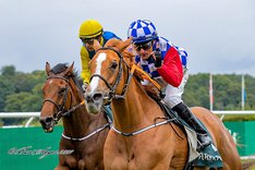 Ascot Brass använd som huvudbild.jpeg