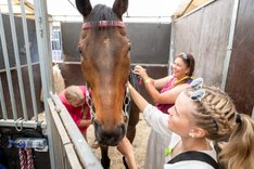 Nationaldagsgaloppen BLO02777