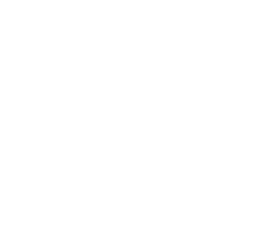 Bro Park