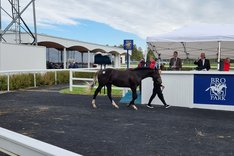 Bild 4 från auktionen