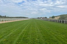 Bild Göteborg Galopp 11 maj