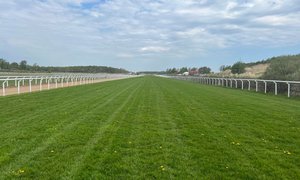 Bild Göteborg Galopp 11 maj