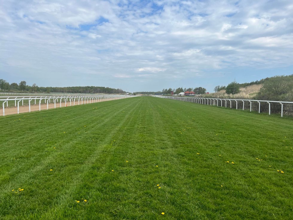 Bild Göteborg Galopp 11 maj