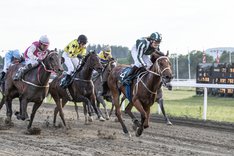 Bobby The Brown_T3I1513 segrar på Övrevoll 15 juni