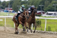 Bobby The Brown vinner på Övrevoll 2 augusti