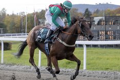 Bobby the Brown_S8I0728 Bobby The Brown Övrevoll 20221012 redigerad