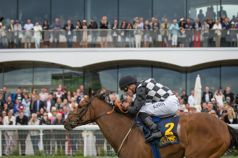 BroPark- foto Amie Karlsson Svensk Galopp (2)
