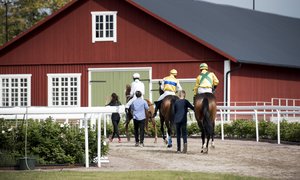 BroParkLedvolt_påvägtillstart_001.jpg