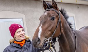 Bro 2019-04-09 Arabianranta-Annika Sjökvist.jpg