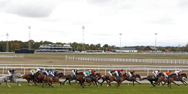 Prix de l'ark 2019