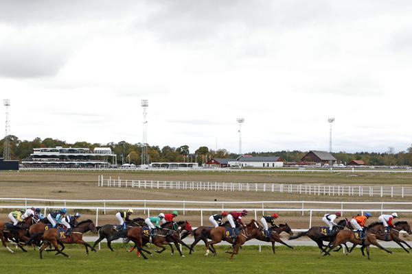 Prix de l'ark 2019