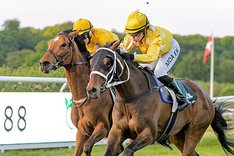 CASIVO_S2_7007 Klampenborg 9 juni kopia