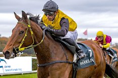 CIVILON_MGL5851 redigerad