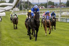 Careless Whisper_S3I6609.jpg